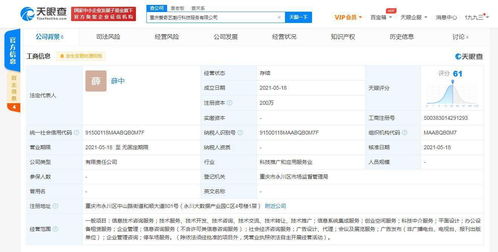 愛奇藝在重慶成立科技公司，拓展創(chuàng)業(yè)空間與信息系統(tǒng)集成服務(wù)